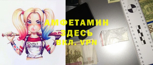 хмурый Верея