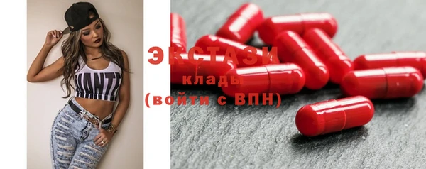 хмурый Верея