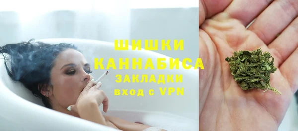хмурый Верея
