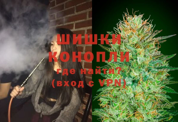 PSILOCYBIN Бугульма