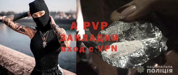 хмурый Верея