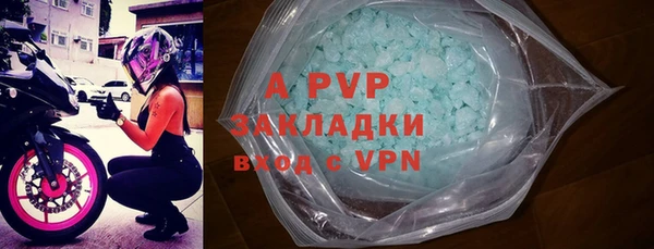 хмурый Верея