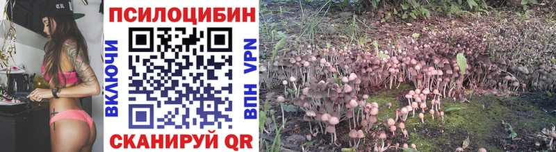 Галлюциногенные грибы MAGIC MUSHROOMS  это состав  Благовещенск 